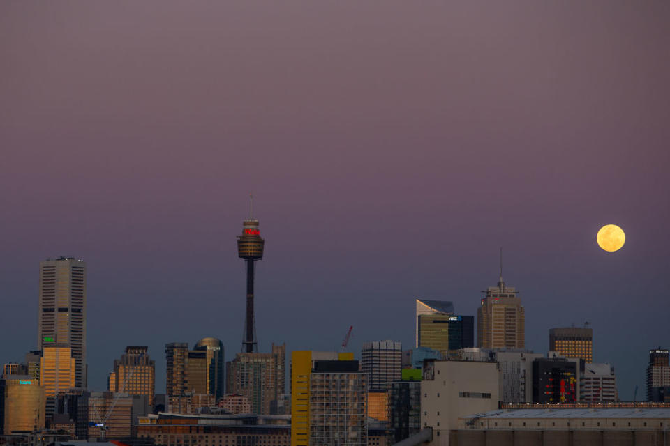 SYDNEY, AUSTRALIA - AUGUST 15: A full moon rises over Sydney's CBD shot from Rozelle on August 15, 2019 in Sydney, Australia. (Photo by Steve Christo - Corbis/Corbis via Getty Images)