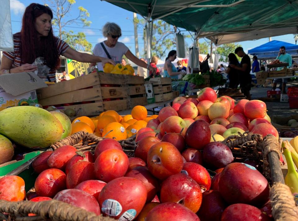 Women shop for fruit at the Continental Produce booth at the Royal Palm Beach Green Market and Bazaar. The market reopens for the 2022-23 season on Oct. 15.