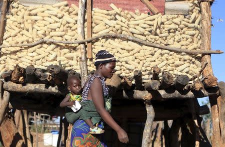 Mejury Tererai, 31, walks past a traditional maize granary near Gokwe, Zimbabwe, May 20, 2015. REUTERS/Philimon Bulawayo