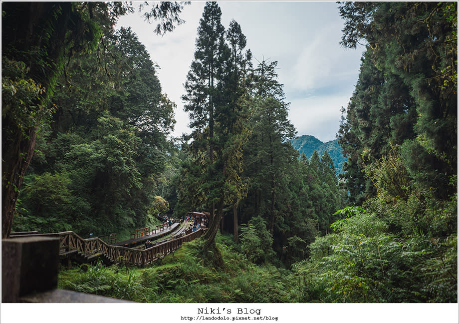 阿里山輕旅行