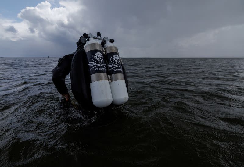 The Wider Image: In Baltic Sea, citizen divers restore seagrass to fight climate change