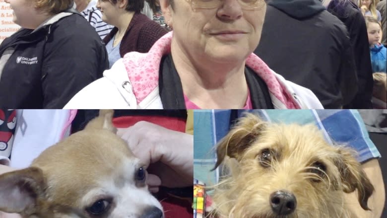 'Biggest year yet' for annual Doggie Expo held in Dartmouth
