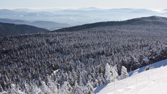 matejphoto / Getty Images/iStockphoto