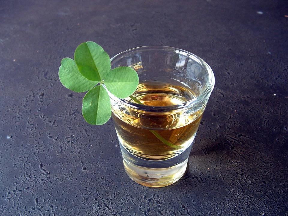 st patricks day traditions drown the shamrock