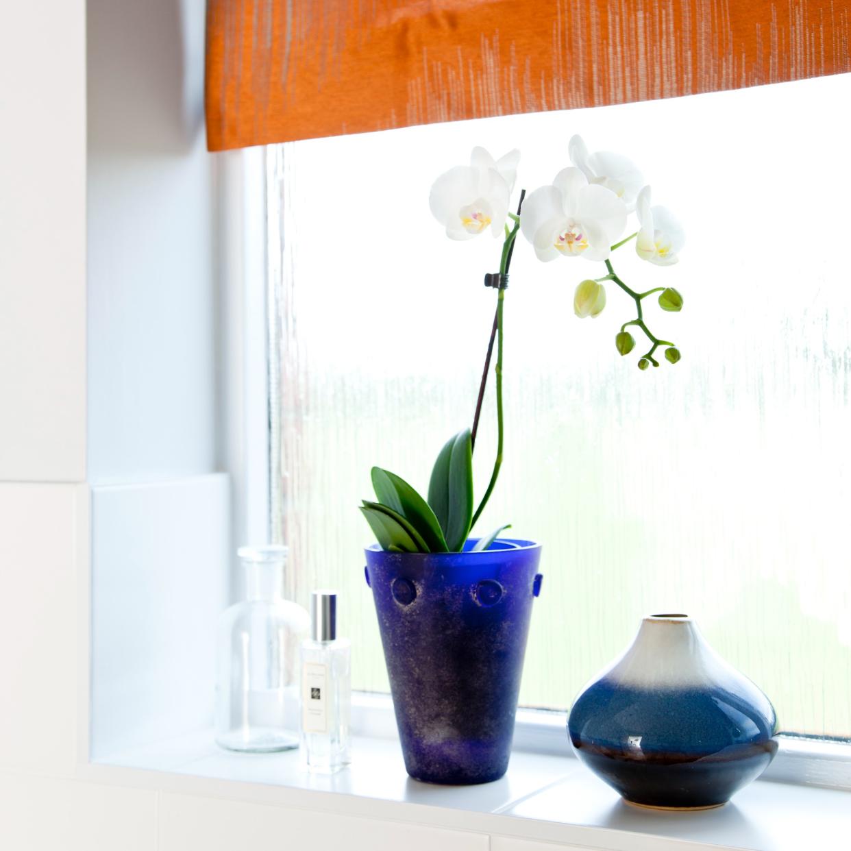  A white orchid plant on a bathroom window sill. 