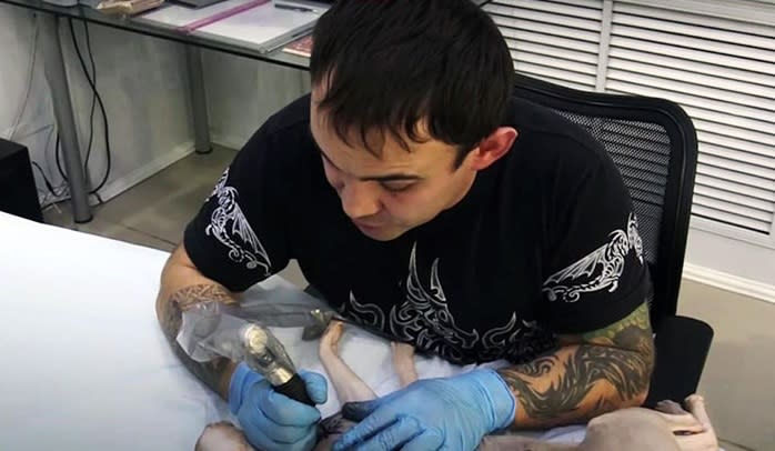 Este es el momento en que Aleksandr sometió a su gato a una anestesia general para que no sintiera dolor. Foto: Facebook.com/pg/sweetbonestattoo