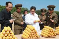 <p><span><span>朝鮮官方朝鮮中央通訊社（KCNA）2016年9月13日發布的這張日期不詳的照片顯示，朝鮮領導人金正恩（C）正在朝鮮民主主義人民共和國第810單元下的一個1116號農場進行視察。</span><span>/法新社/ KCNA / KCNA（照片應該是KCNA / AFP / Getty Images）</span></span> </p>