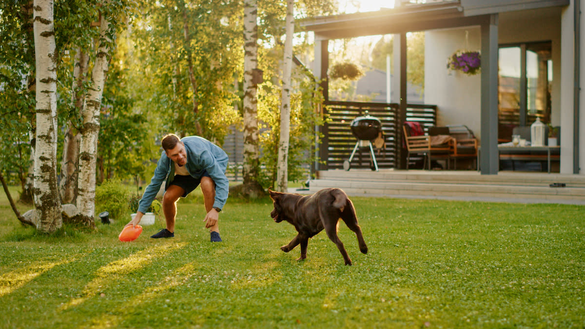 A tired dog is easier to train.<p>Gorodenkoff/Shutterstock</p>