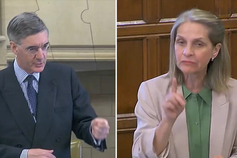 Jacob Rees-Mogg and Wera Hobhouse in the debate in Westminster Hall on Monday May 20 -Credit:Parliament TV