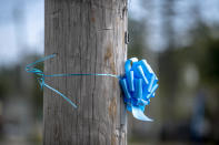 Blue ribbons in memory of Gabby Petito are scattered across her hometown of Blue Point, N.Y. on Thursday, Sept. 23, 2021. Search teams were back out at a Florida nature park to look for the boyfriend of Gabby Petito, the young woman who authorities say was killed while on a cross-country trip with him. (AP Photo/Brittainy Newman)