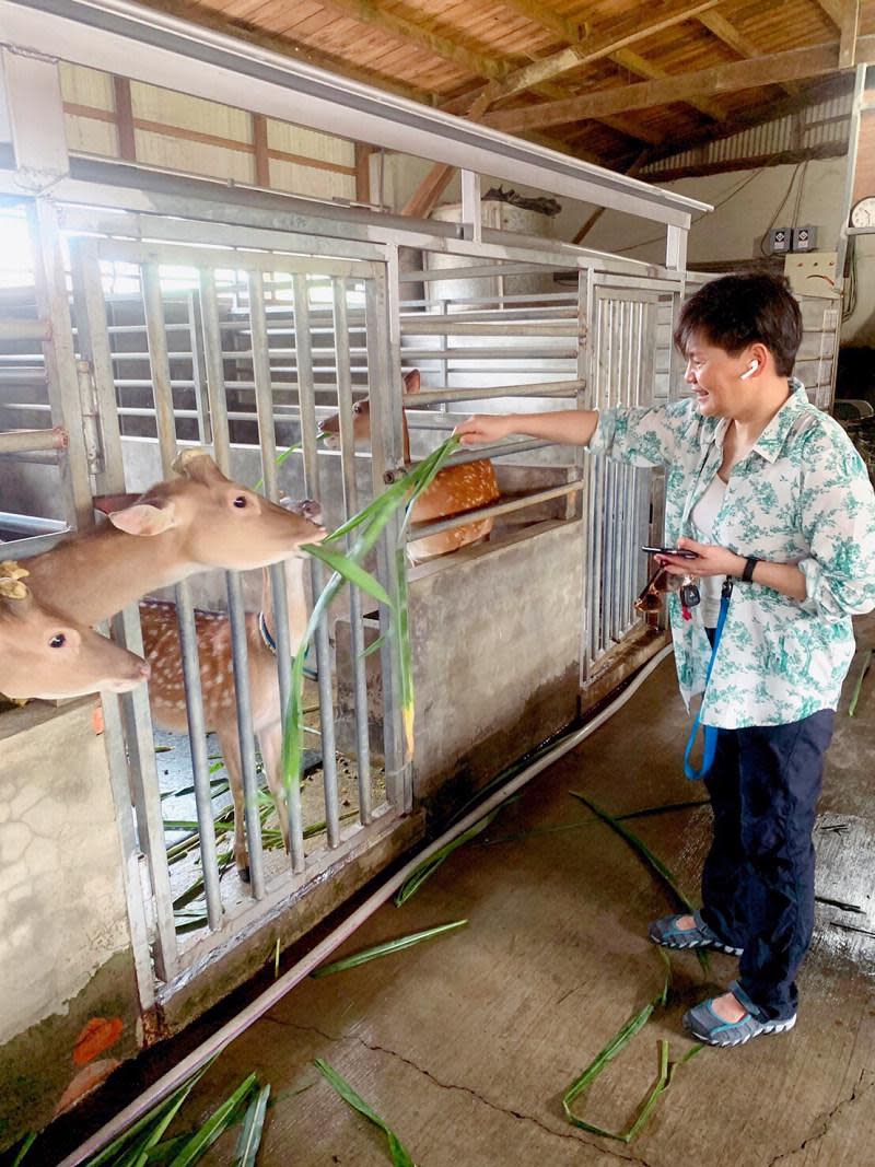 山腳鹿場水鹿之家（圖片來源：桃園觀光導覽網）