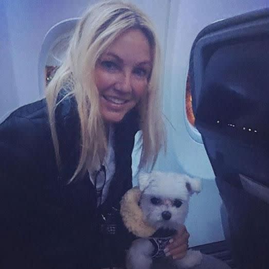 The last photo she shared before her arrest was one of her with her puppy on her lap while they were on their way to Boston. Source: Instagram/heatherlocklear