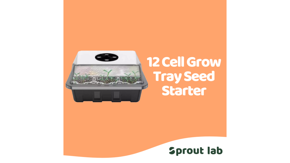 Sprout lab | PP Seedling Seed Starter Tray with Lid. (Photo: Lazada SG)