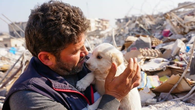 Over a Month Later, PETA Is Still Rescuing Dogs in Turkey