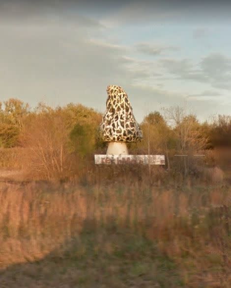 Missouri: Magnificent Mushroom