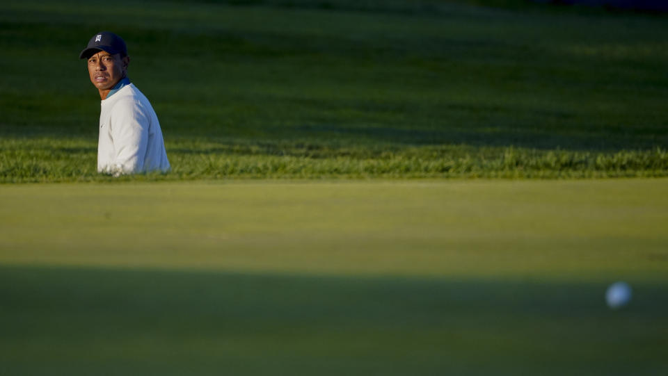 Tiger Woods, of the United States, checks his lie after a shot onto the eighth green during the second round of the US Open Golf Championship, Friday, Sept. 18, 2020, in Mamaroneck, N.Y. (AP Photo/John Minchillo)