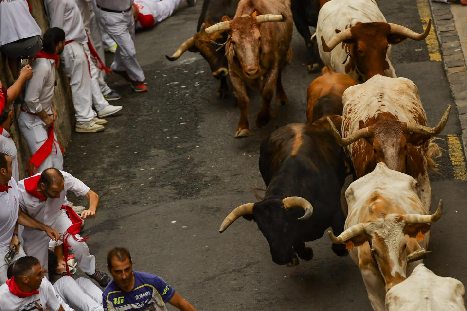 La Palmosilla's fighting bulls run among revellers during the first day of the running of the bulls during the San Fermin fiestas in Pamplona, Spain, Friday, July 7, 2023. (AP Photo/Alvaro Barrientos)