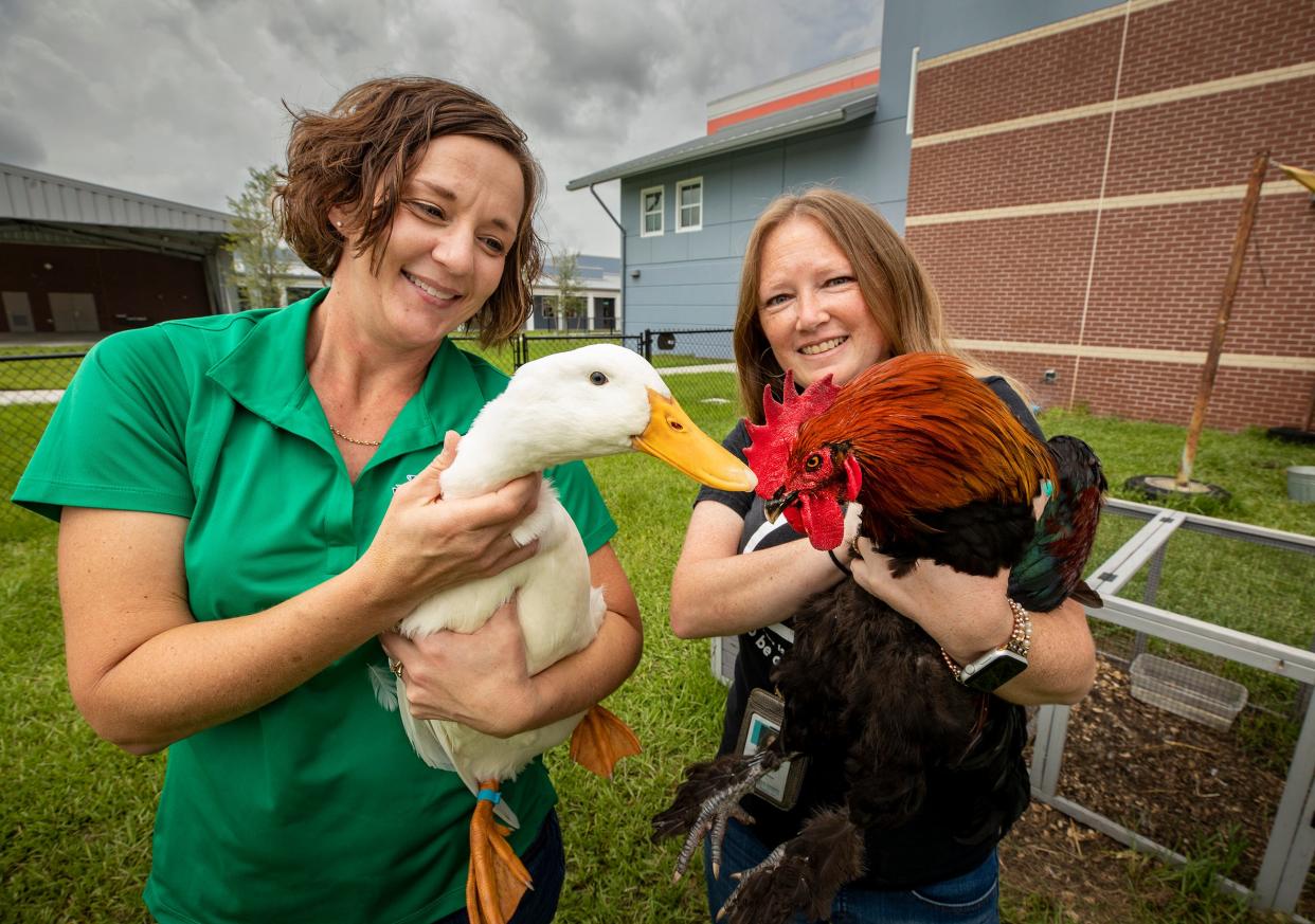 Willow Oak Elementary School Principal Michelle Townley, left, holds one of the agriculture program's two ducks, and teacher Danielle Emmons holds a rooster in the ag center at the school. Willow Oak started Polk County's first elementary-level agriculture program after Emmons proposed the idea to Townley.