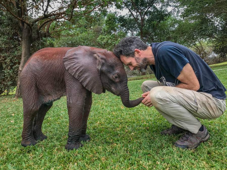 身兼導演跟攝影師的Nick Shoolingin-Jordan與只有2週大的孤兒象。（圖／BBC提供）