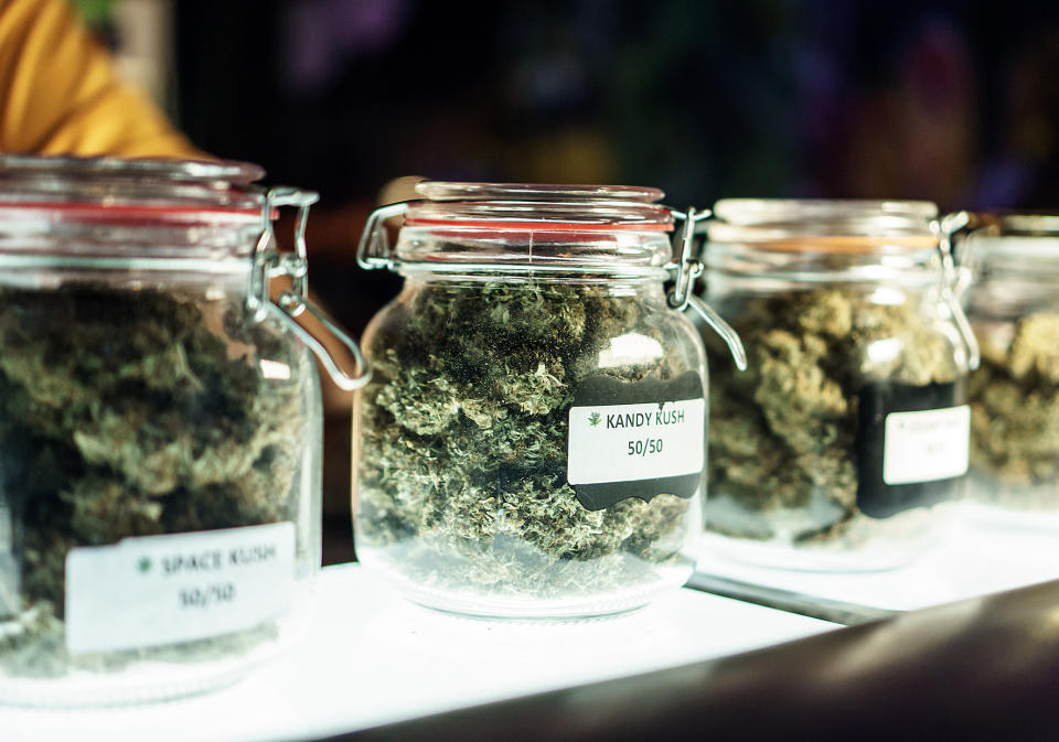 Clearly labeled jars packed with unique strains of cannabis buds that are sitting atop a dispensary store counter.