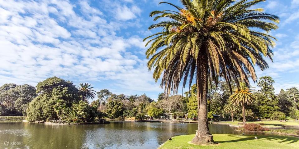 Mystery Picnic in Royal Botanic Garden Sydney. (Photo: Klook SG)