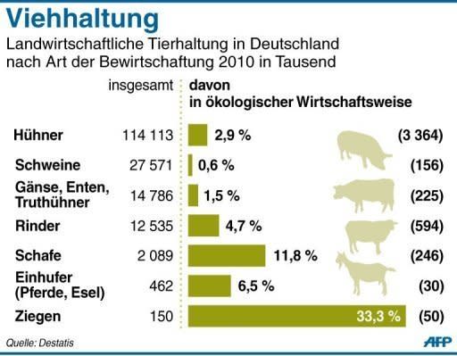 Pferde machen nur einen geringen Anteil an den in Deutschland gehaltenen Nutztieren aus