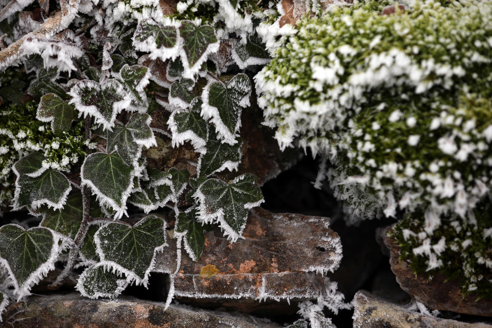 Freezing Fog And Frost Hit The UK