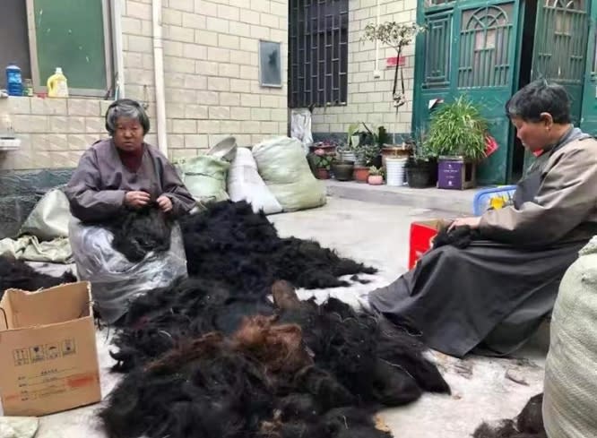 許昌當地的工人正在蒐集、製作假髮。 圖 : 翻攝自新京報