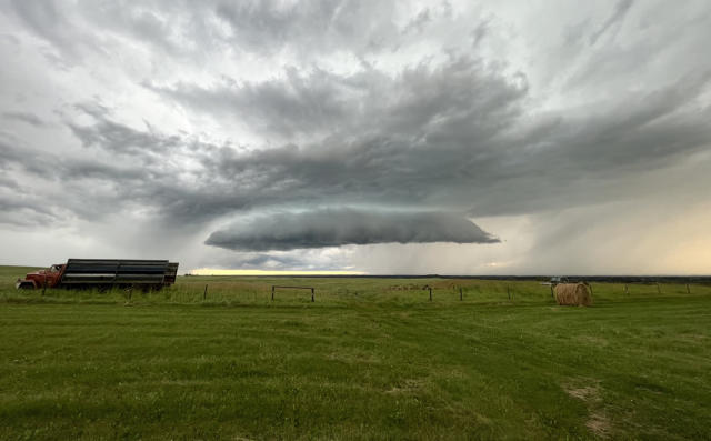 NWS Mobile on X: The first surveyed tornado was in Steelwood