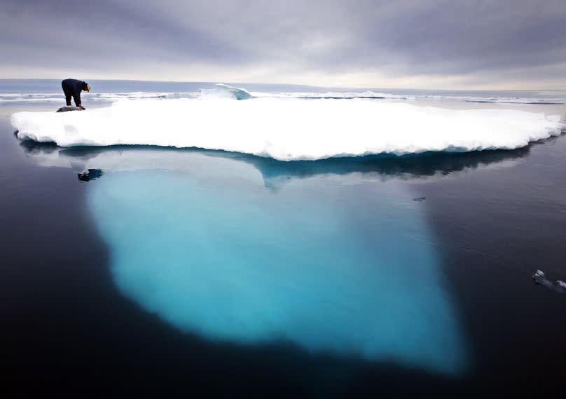 An Inuit seal hunter touches a dead seal atop a melting iceberg near Ammassalik Island, Greenland, July 2007