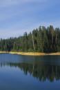 <p><strong>Population:</strong> 2</p><p>These two residents enjoy beautiful nearby views of the Plumas National Forest.<br></p>