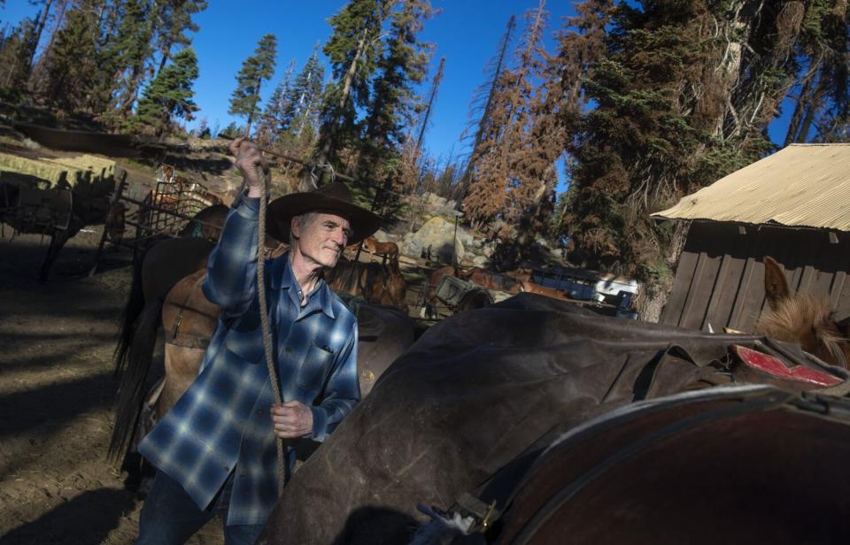 Doug Smith throwing a rope over a mule