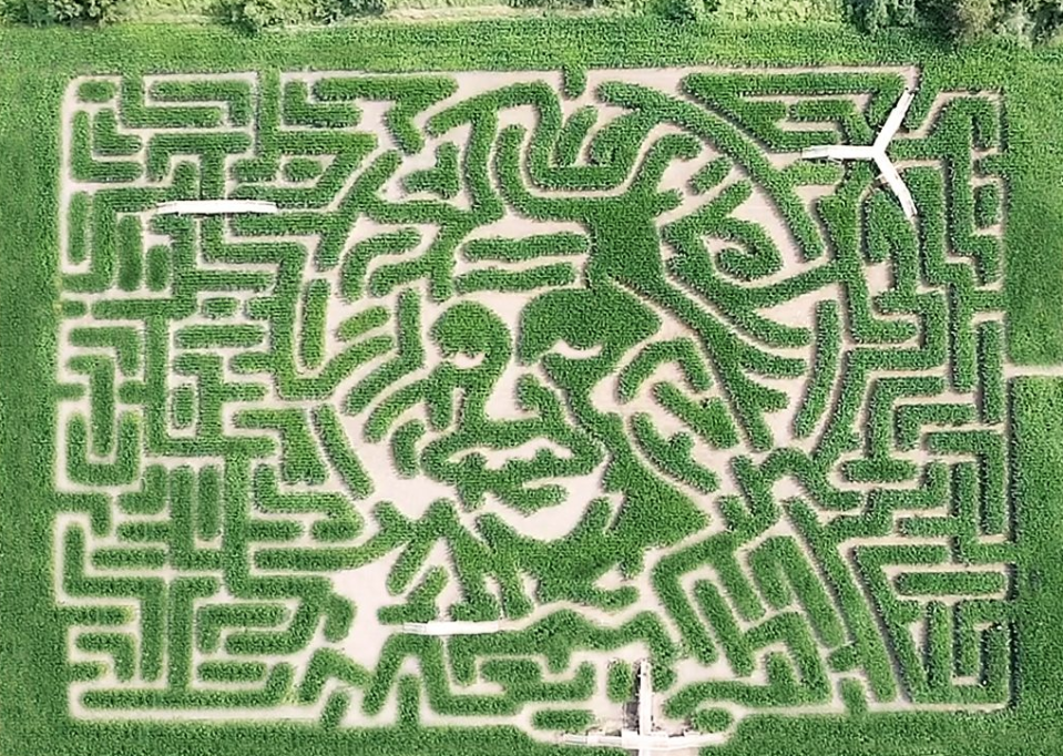 7) Davis Mega Maze in Sterling, Massachusetts