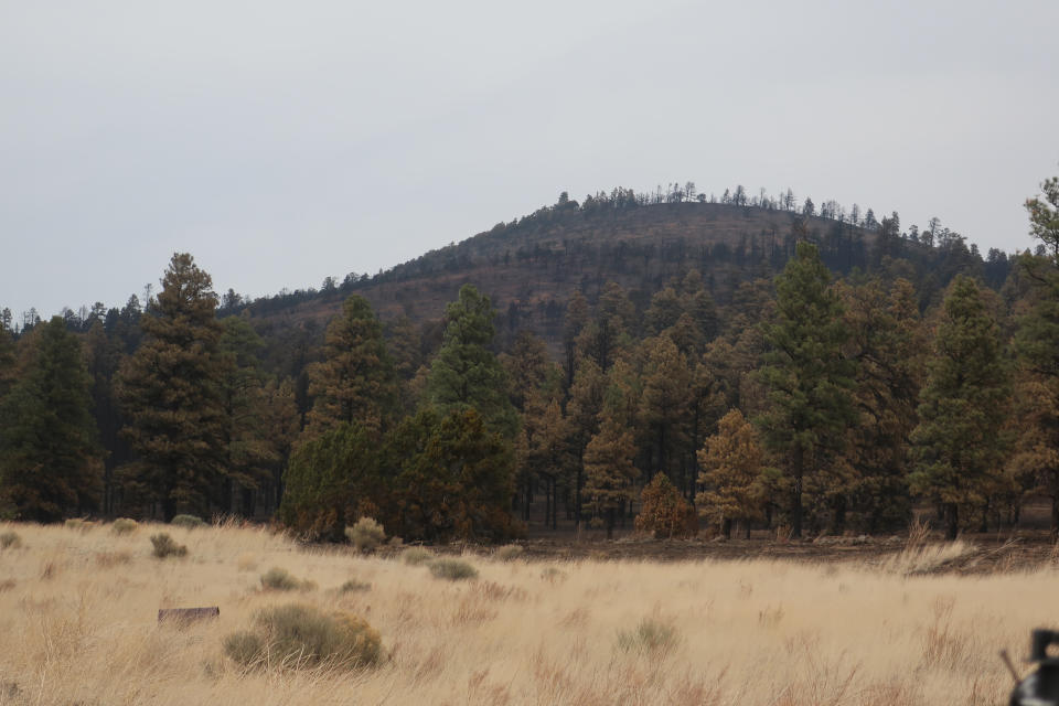 This photograph taken Tuesday, April 26, 2022, shows hillsides and trees blackened by a massive wildfire in the Girls Ranch neighborhood outside Flagstaff, Ariz. The blaze that started Easter Sunday burned about 30 square miles and more than a dozen homes, hopscotching across the parched landscape. (AP Photo/Felicia Fonseca)