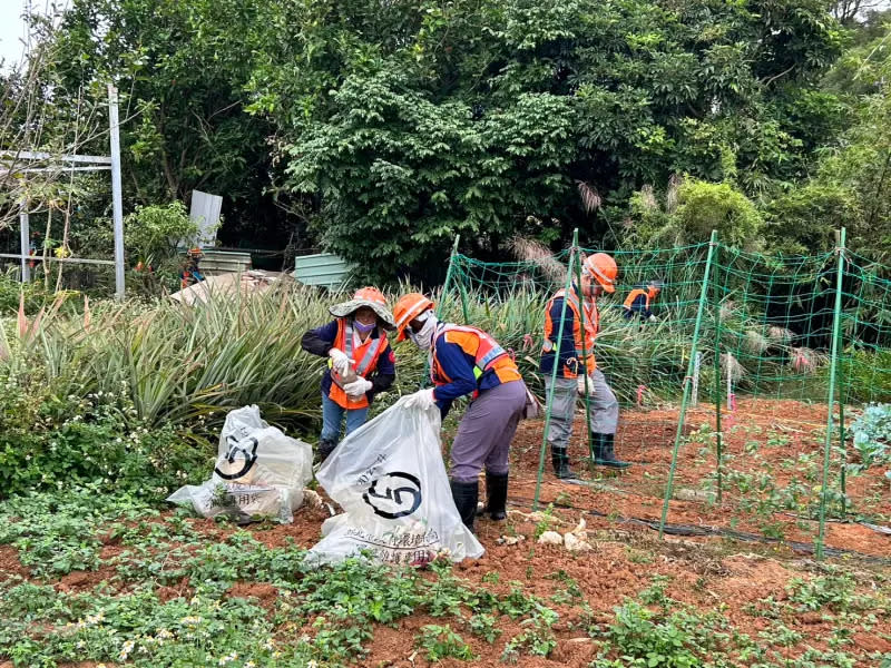 ▲為防堵登革熱，新北市政府動員120人於五股區高風險警示區進行孳生源清除與容器減量。（圖 ／新北市政府衛生局提供）