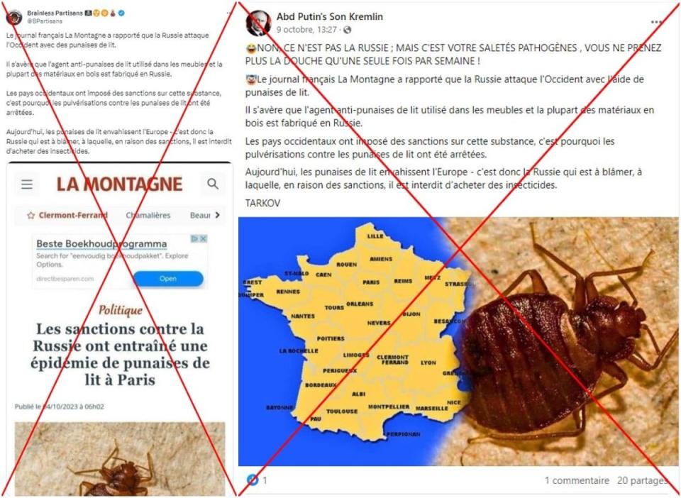 Collage of fake news articles blaming Russian sanctions for the rise of bedbugs (AFP)