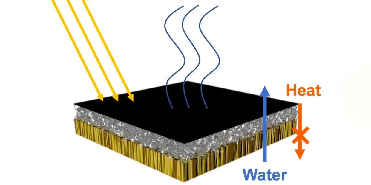 Photo credit: Adapted from Nano Letters 2020, DOI: 10.1021/acs.nanolett.0c01088