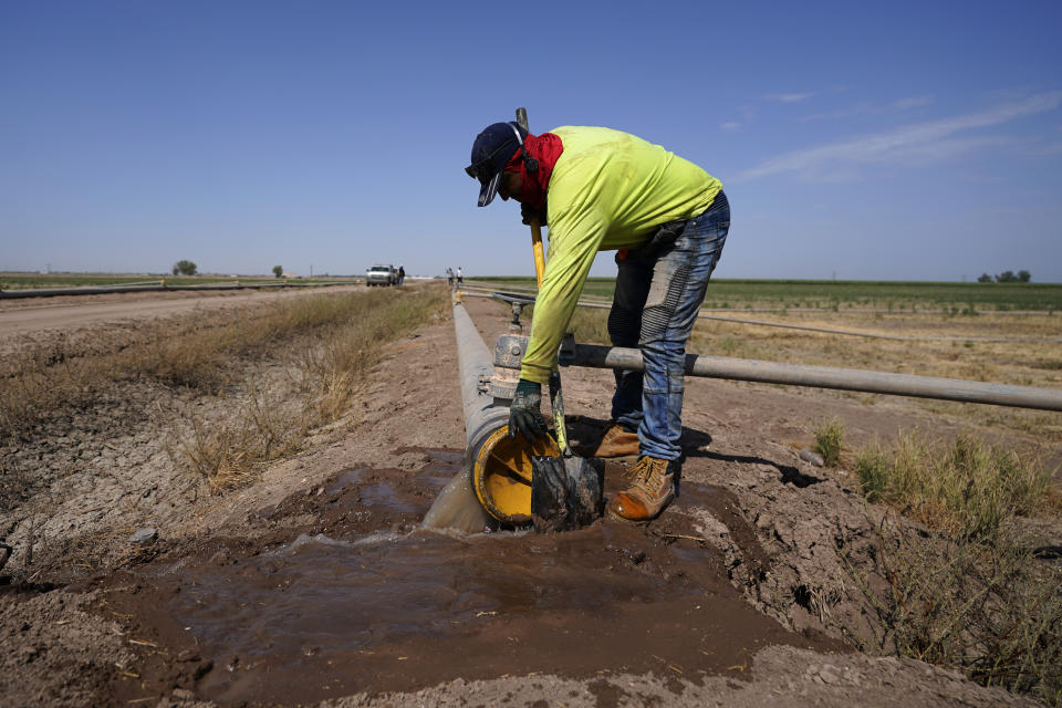 A worker diverts water as a sprinkler system is installed for alfalfa at the Cox family farm Monday, Aug. 15, 2022, near Brawley, Calif. The Cox family has been farming in California's Imperial Valley for generations. (AP Photo/Gregory Bull)