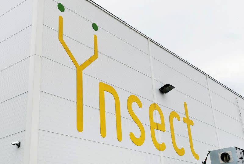 FILE PHOTO: French start-up Ynsect plans to build world's biggest bug farm