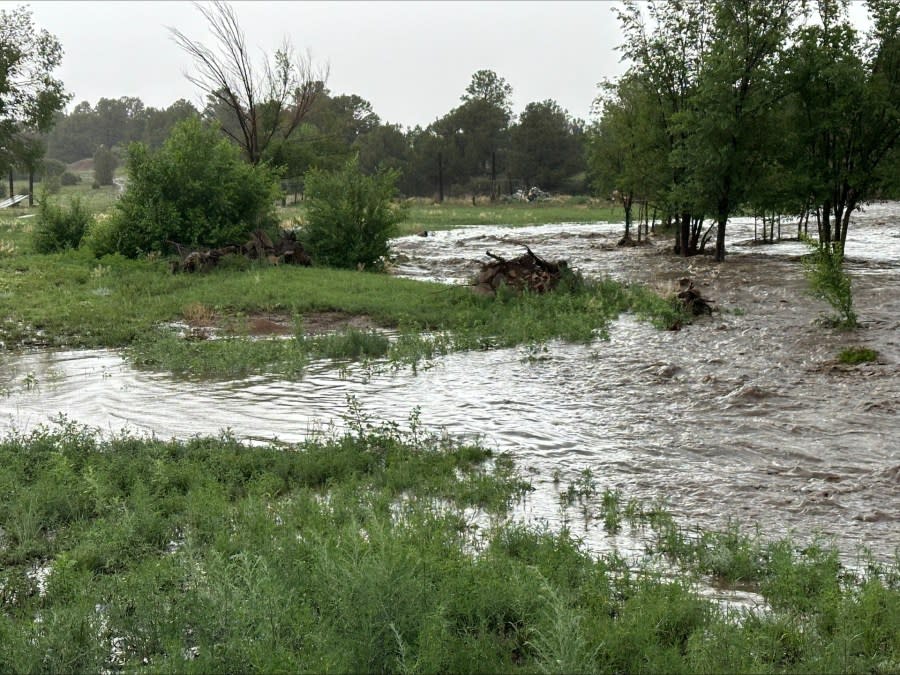 <em>Mineral Hill flooding on June 21, 2024 | Courtesy of Nancy Esquibel</em>