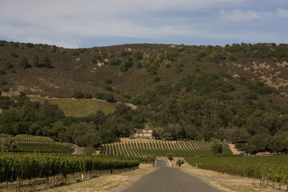 <p>The driveway to Gundlach Bundschu Winery is seen in Sonoma, Sonoma Valley, California, early morning summer, 2009. (Photo: George Rose/Getty Images) </p>