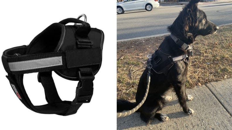 The Dogline Unimax Multi-Purpose Harness is our best-tested dog harness.