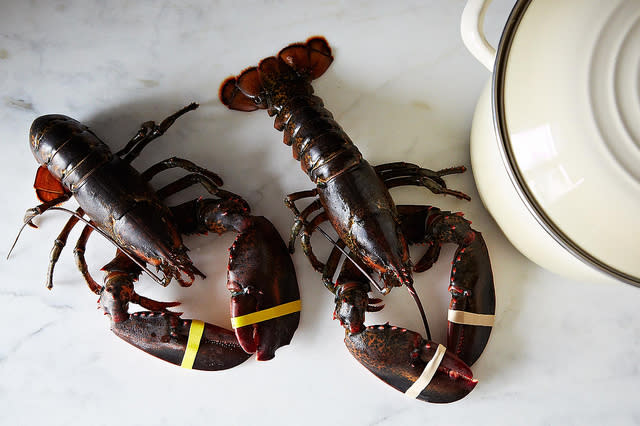 How to Cook a Lobster from Food52 