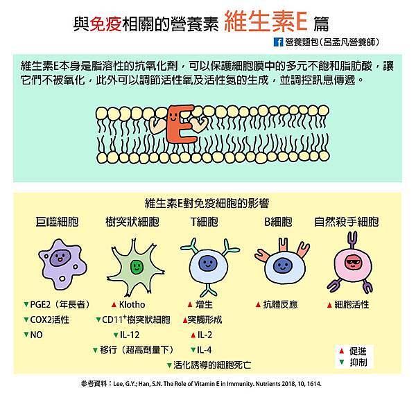 維生素E