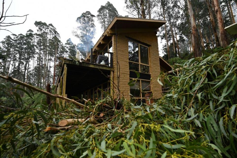 Downed trees are seen at the Masquerade Airbnb in Olinda.