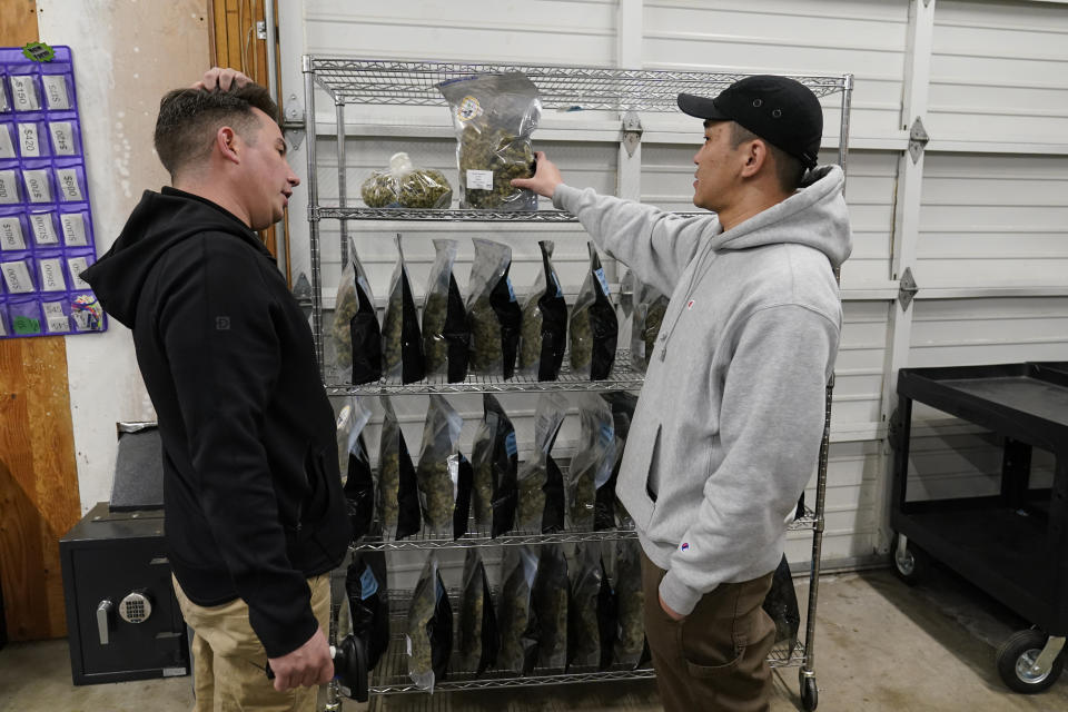 Chase Morimoto, right, of Treasure Valley Cannabis Co. in Ontario, Ore., examines a bag of marijuana buds while getting assistance from Tanner Mariani in the showroom of the Portland Cannabis Market in Portland, Ore., on March 31, 2023. Along the West Coast, which has dominated U.S. marijuana production from long before legalization, producers are struggling with what many call the failed economics of legal pot...a challenge inherent in regulating a product that remains illegal under federal law. (AP Photo/Eric Risberg)