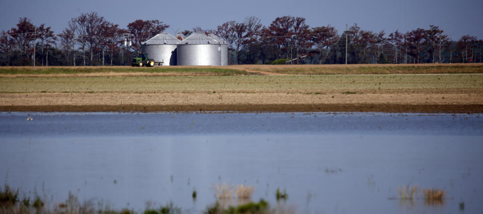 In this May 23, 2019 photo, wows of farm land near Louise, Miss., are covered with backwater flooding. Normally there would be cotton or corn or soybean crops in the rows. U.S. Senator Cindy Hyde-Smith, R-Miss., sent a letter Wednesday, June 12, to President Donald Trump to approve the use of temporary pumps in the Yazoo Backwater Area to begin removing floodwaters that have contaminated the region for months on end. (AP Photo/Rogelio V. Solis)