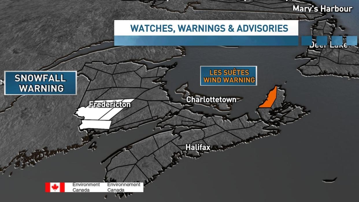 Snowfall warnings were in effect for three areas of New Brunswick on Wednesday. (Tina Simpkin/CBC - image credit)