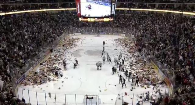 Bears set new world record at annual Teddy Bear Toss game