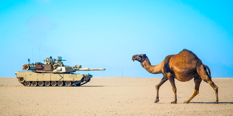 m1 abrams camel